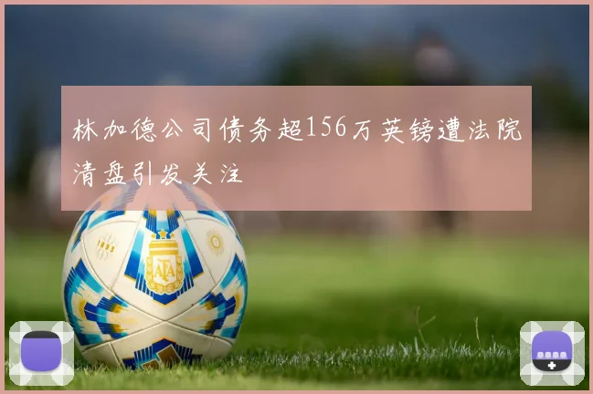 林加德公司债务超156万英镑遭法院清盘引发关注