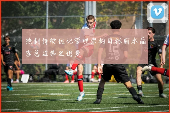 热刺持续优化管理架构目标前水晶宫总监弗里德曼