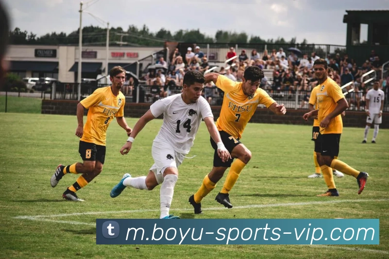 博鱼体育全站App